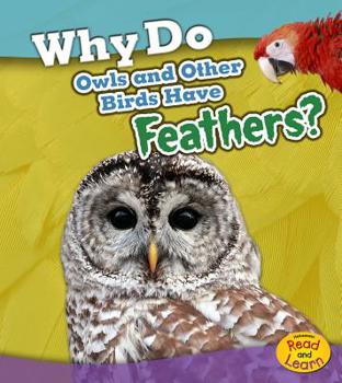 Why Do Owls and Other Birds Have Feathers? - Book  of the Animal Body Coverings