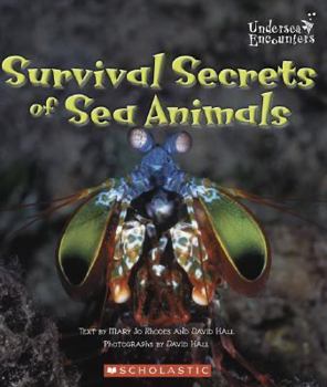 Paperback Survival Secrets of Sea Animals Book