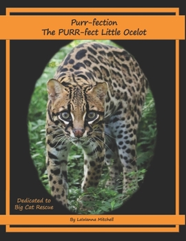 Paperback Purr-fection, the PURR-fect Little Ocelot Book