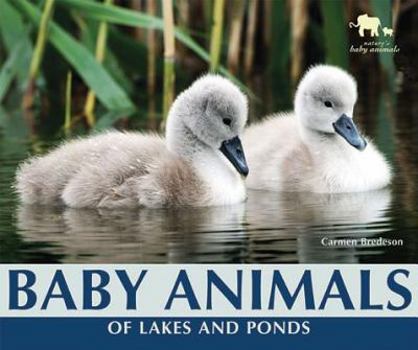 Paperback Baby Animals of Lakes and Ponds Book