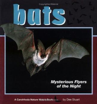 Hardcover Bats: Mysterious Flyers of the Night Book