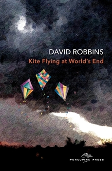 Paperback Kite Flying at World's End: An artist is inspired by rumours of the apocalypse Book