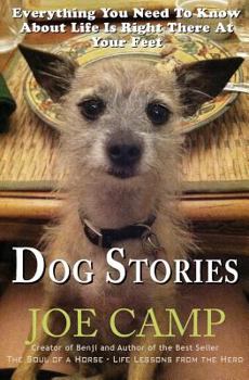Paperback Dog Stories: Everything You Need To Know About Life Is Right There At Your Feet Book