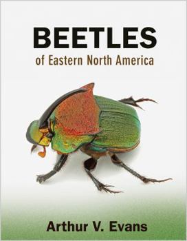 Paperback Beetles of Eastern North America Book