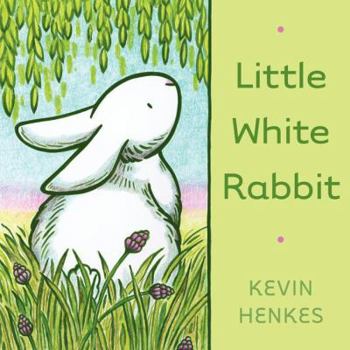 Board book Little White Rabbit Book