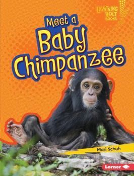 Meet a Baby Chimpanzee - Book  of the Baby African Animals