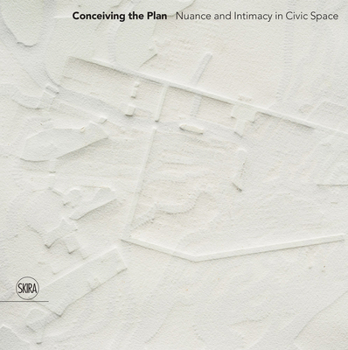 Conceiving the Plan: Nuance and Intimacy in Civic Space
