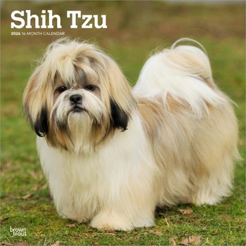 Shih Tzu 2026 12 X 24 Inch (Hanging) Monthly Square Wall Calendar Plastic-Free