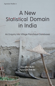 Paperback A New Statistical Domain in India: An Enquiry Into Village Panchayat Databases Book