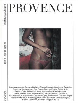Paperback Provence Report Spring/Summer 2019: Issues of Our Time Book