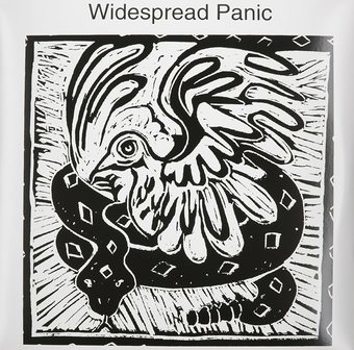 Vinyl Widespread Panic Book