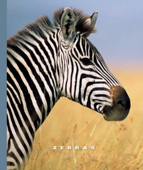 Library Binding Zebras Book