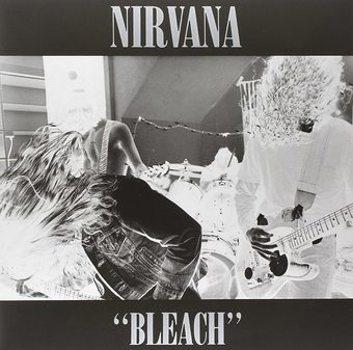 Vinyl Bleach Book