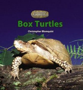 Library Binding Box Turtles Book