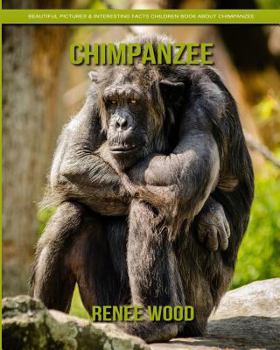 Paperback Chimpanzee: Beautiful Pictures & Interesting Facts Children Book about Chimpanzee Book