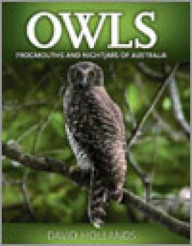 Hardcover Owls, Frogmouths and Nightjars of Australia Book