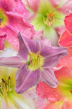 Flowers Journal: Lined Notebook to Write In for Journaling, Diary Writing, Note Taking, and More...