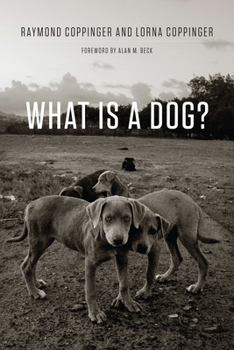 Hardcover What Is a Dog? Book