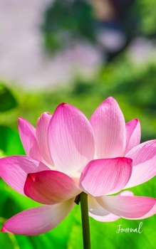 Lotus Flower Journal: Gorgeous Pink Lotus Flower Lined Journal Notebook | Flower Journals To Write In For Women & Girls | Floral Notebook College ... 5 x 8 100 Pages (Floral Notebooks For Women)