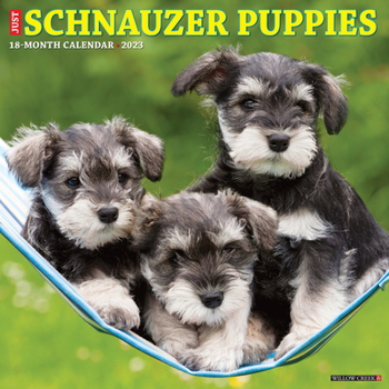 Calendar Just Schnauzer Puppies 2023 Wall Calendar Book