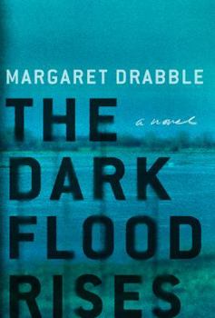Hardcover The Dark Flood Rises Book