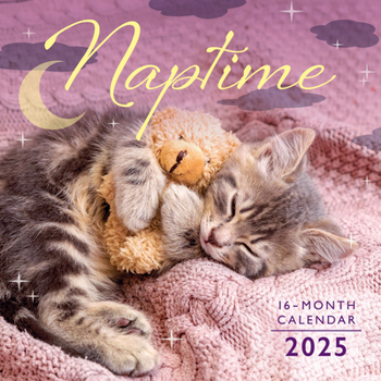 Calendar 2025 Naptime Wall Calendar Book