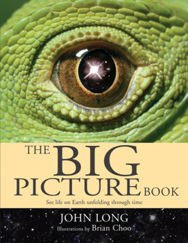 Hardcover The Big Picture Book