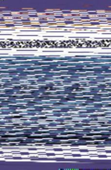 Paperback Gospel on the Go God's Daily Direction for Your Life Book