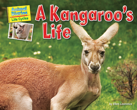 Paperback A Kangaroo's Life Book