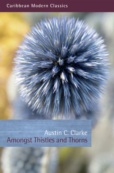 Paperback Amongst Thistles and Thorns Book