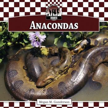 Library Binding Anacondas Book