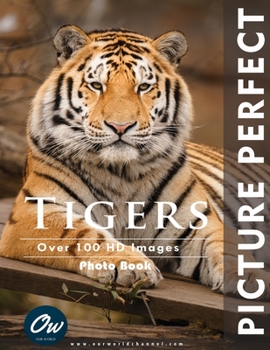 Paperback Tigers: Picture Perfect Photo Book