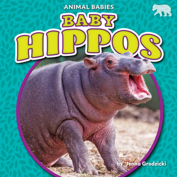 Baby Hippos - Nonfiction Reading for Grade 1 with Vibrant Illustrations & Photos - Developmental Learning for Young Readers - Bearcub Books Collection