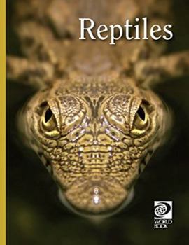 Hardcover Reptiles Book