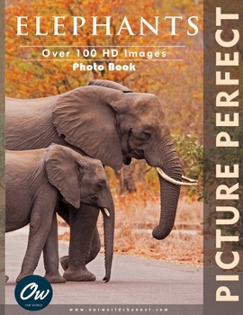 Paperback Elephants: Picture Perfect Photo Book
