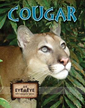 Paperback Cougars Book