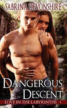 Paperback Dangerous Descent Book