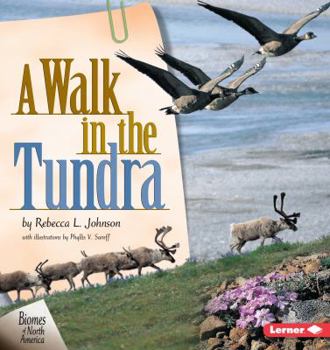 Paperback A Walk in the Tundra Book