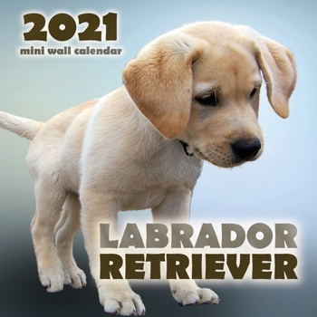 Paperback Labrador Retriever 2021 Mini Wall Calendar Book