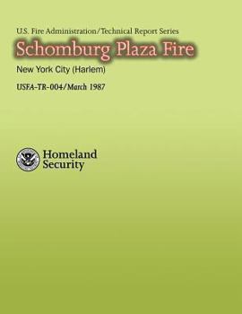 Paperback Schomburg Plaza Fire Book