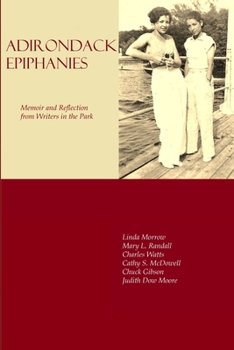 Paperback Adirondack Epiphanies Book