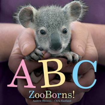 Paperback ABC Zooborns! Book