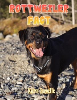 Paperback Rottweiler Fact: ROTTWEILER fact for girl age 1-10 ROTTWEILER fact for boy age 1-10 facts about all about ROTTWEILER Book