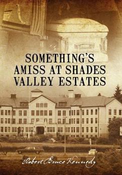 Hardcover Something's Amiss at Shades Valley Estates Book