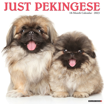 Calendar Just Pekingese 2023 Wall Calendar Book