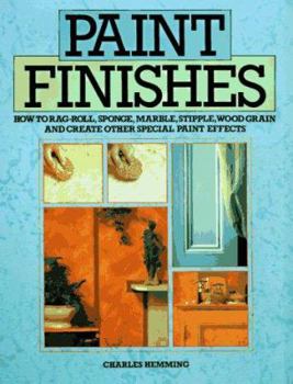 Hardcover Paint Finishes Book