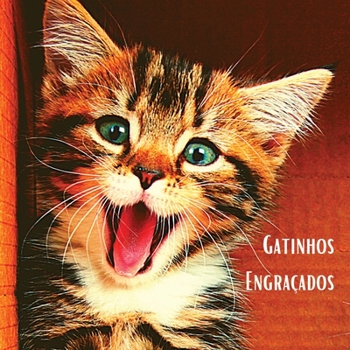 Paperback Gatinhos Engra?ados: ?lbum de fotografias a cores com belos gatinhos. Ideia de prenda para os amantes de gatos pequenos e da natureza. Livr [Portuguese] Book