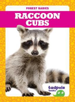 Library Binding Raccoon Cubs Book