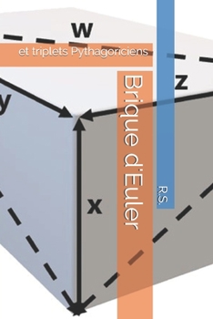 Paperback Brique d'Euler: et triplets Pythagoriciens [French] Book