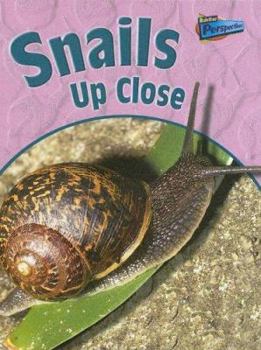 Library Binding Snails Up Close Book